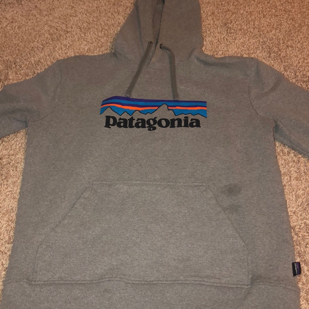 Men’s Grey Patagonia Hoodie